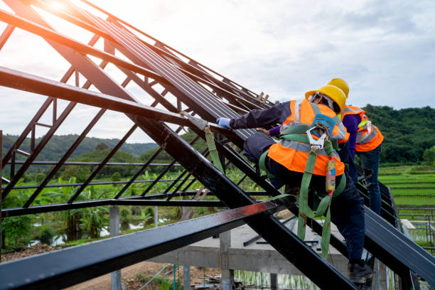 Professional Roofing Contractor in Blue Ridge, GA