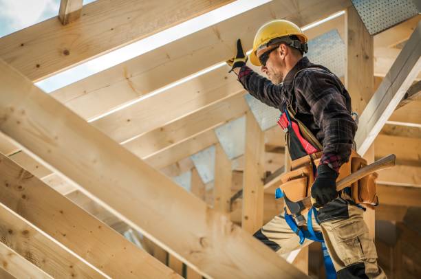 Best Roof Gutter Cleaning  in Blue Ridge, GA