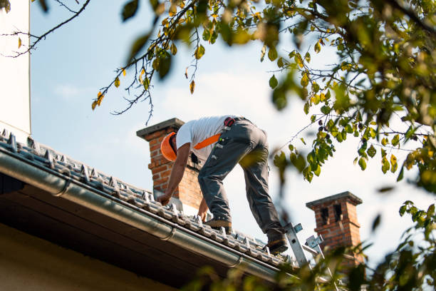 Best Gutter Installation and Roofing  in Blue Ridge, GA